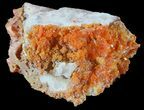 Bright Orange Wulfenite Cluster - Rowley Mine, AZ #49322-1